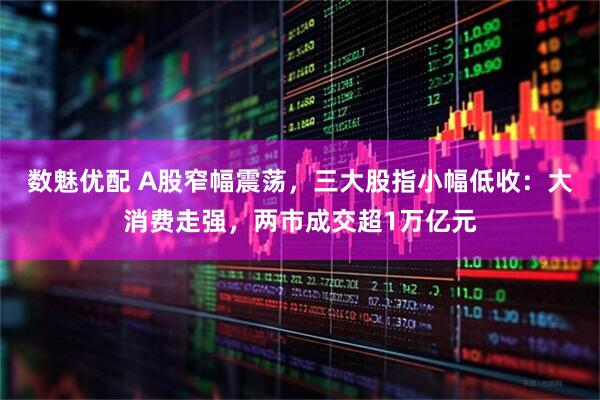 数魅优配 A股窄幅震荡，三大股指小幅低收：大消费走强，两市成交超1万亿元
