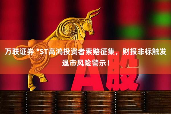 万联证券 *ST高鸿投资者索赔征集，财报非标触发退市风险警示！