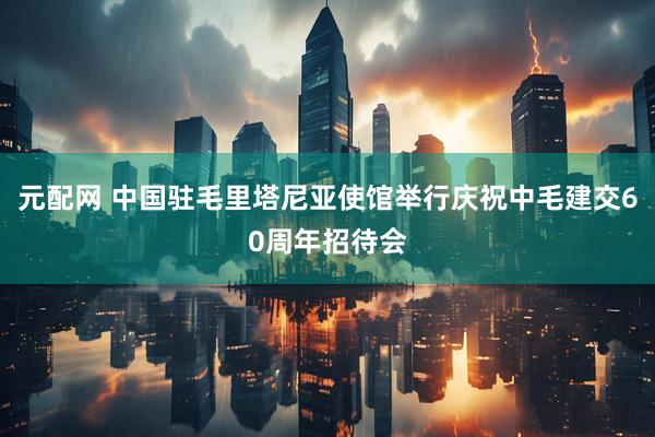 元配网 中国驻毛里塔尼亚使馆举行庆祝中毛建交60周年招待会