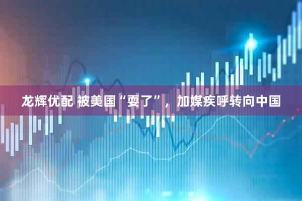龙辉优配 被美国“耍了”，加媒疾呼转向中国
