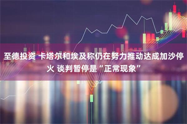 至德投资 卡塔尔和埃及称仍在努力推动达成加沙停火 谈判暂停是“正常现象”