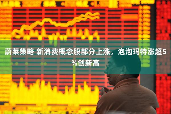 蔚莱策略 新消费概念股部分上涨，泡泡玛特涨超5%创新高