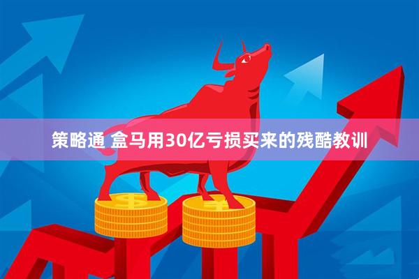 策略通 盒马用30亿亏损买来的残酷教训