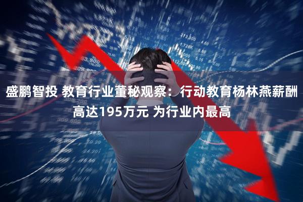 盛鹏智投 教育行业董秘观察：行动教育杨林燕薪酬高达195万元 为行业内最高