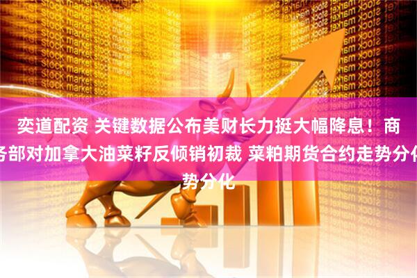 奕道配资 关键数据公布美财长力挺大幅降息！商务部对加拿大油菜籽反倾销初裁 菜粕期货合约走势分化