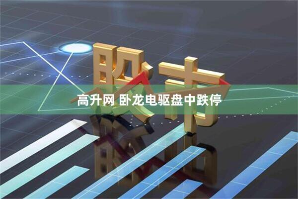 高升网 卧龙电驱盘中跌停