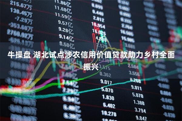 牛操盘 湖北试点涉农信用价值贷款助力乡村全面振兴