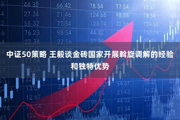 中证50策略 王毅谈金砖国家开展斡旋调解的经验和独特优势