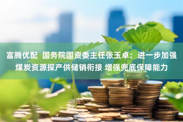 富腾优配 国务院国资委主任张玉卓:进一步加强煤炭资源探产供储销衔接 增强兜底保障能力